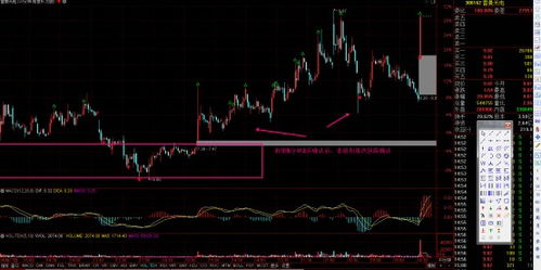 雷曼光電 深耕LED顯示領域，COB技術引領光電科技新浪潮
